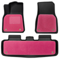 Model Y (Classic) Premium Coil Car Mats (PINK)